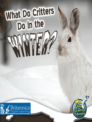 cover image of What Do Critters Do in the Winter?